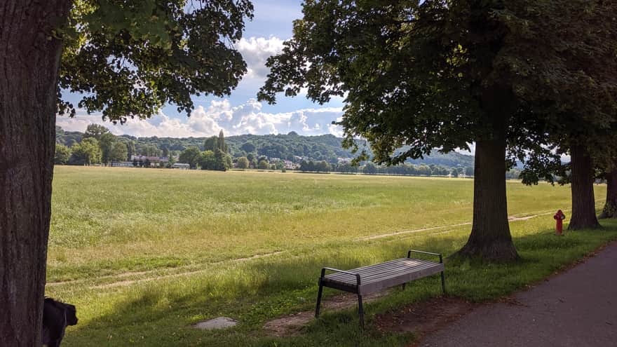 Błonia - widok na Kopiec Kościuszki