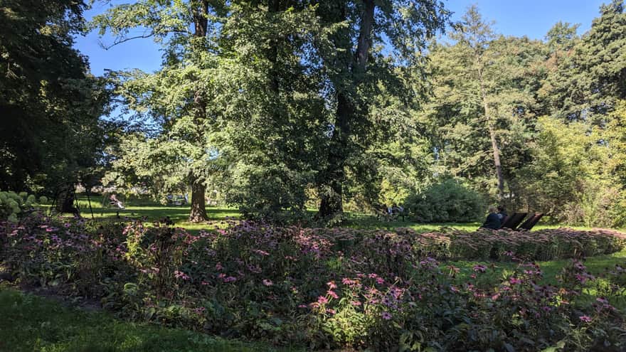 Park Kościuszki - drewniane leżaki i huśtawki, miejsca odpoczynku