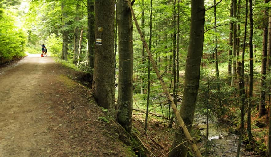 Zawoja Czatoża yellow and black trail