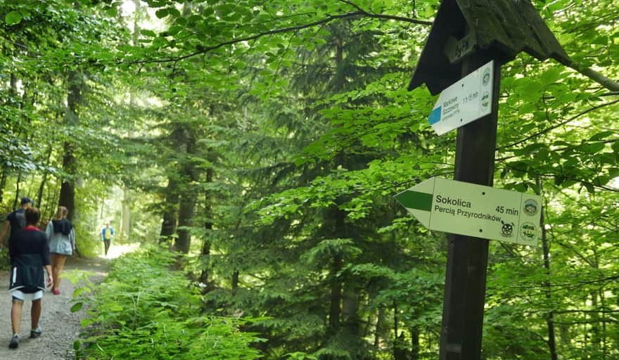 Górny Płaj: blue trail from Krowiarki to Markowe Szczawiny