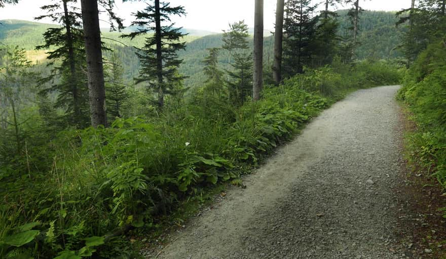 Górny Płaj: blue trail from Krowiarki to Markowe Szczawiny