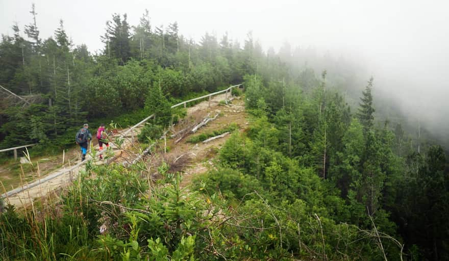 Red trail from Krowiarki to Babia Góra - the path from Sokolica