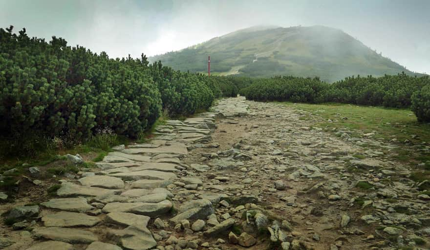 Red trail to Babia Góra - between Kępa and Gówniak