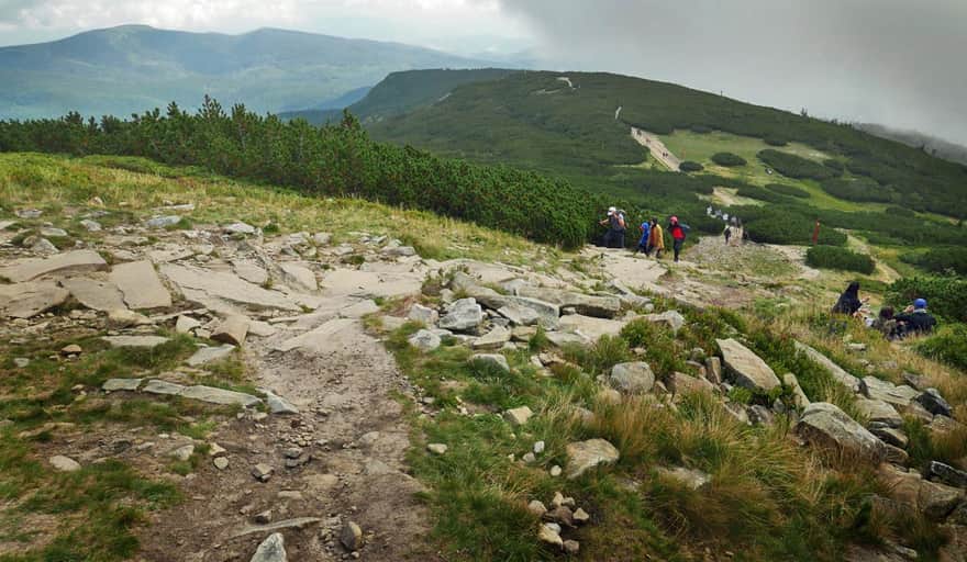 Red trail to Babia Góra - ascent to Gówniak