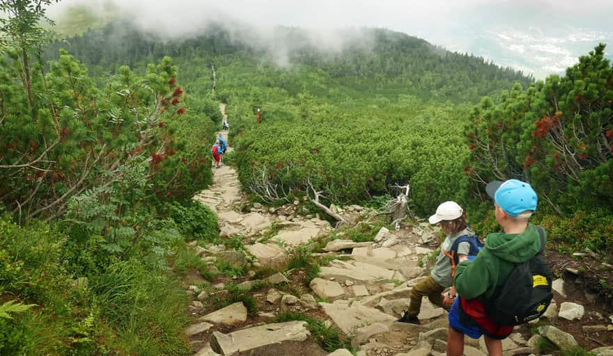 Descent from the summit of Babia Góra towards Przełęcz Brona