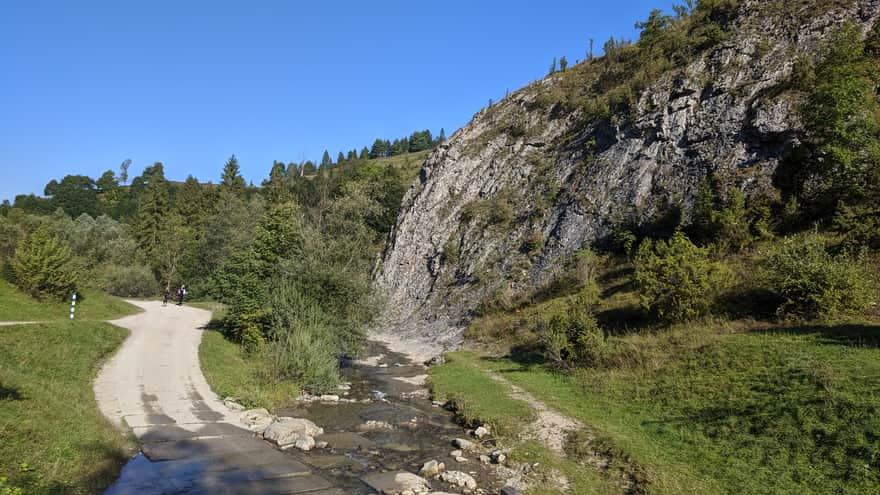 Rezerwat Przyrody Biała Woda, Pieniny