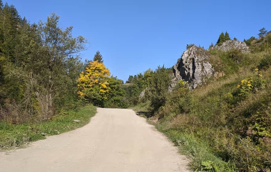 Biała Woda Pieniny Nature Reserve