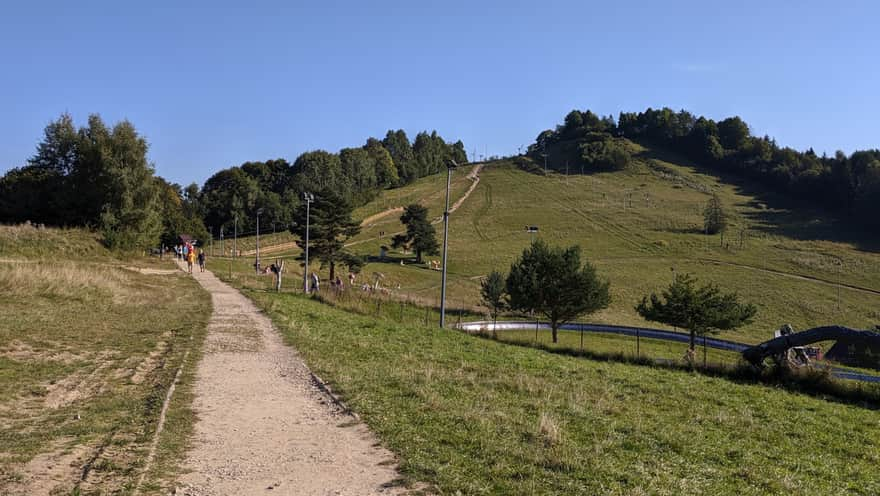 At the top of Palenica