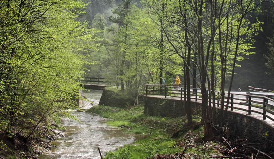 Ścieżka dla pieszych przy Leśnickim Potoku