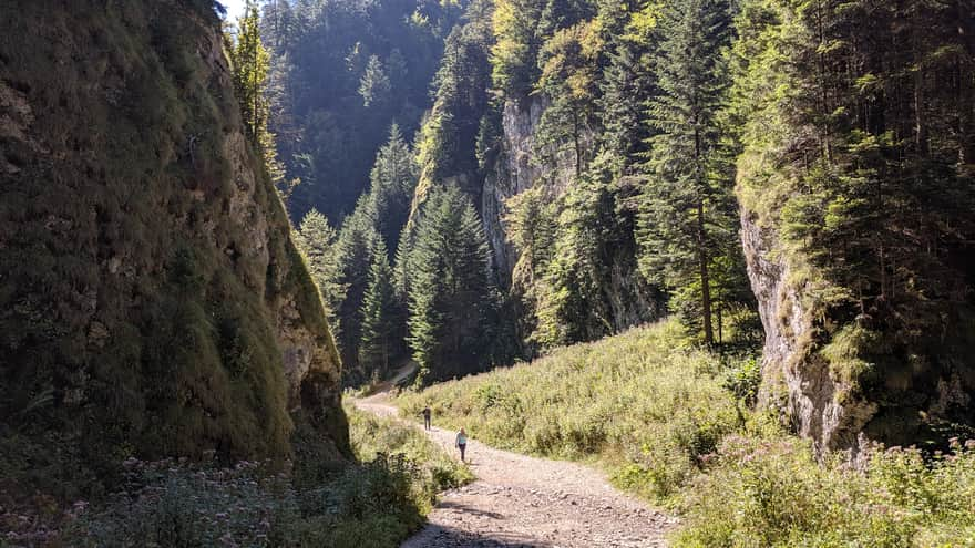 Sopczański Gorge