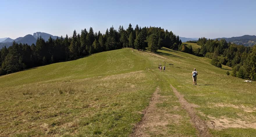 Blue trail to the Shelter under Durbaszka