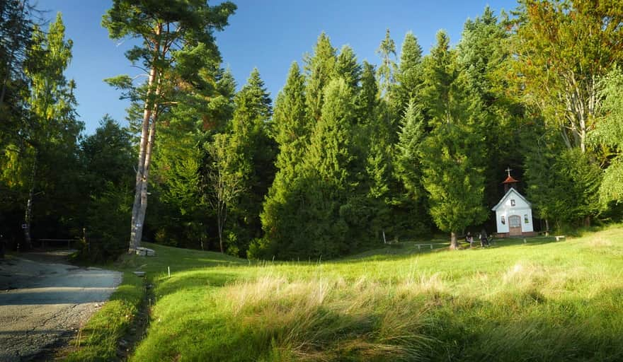 Yellow trail to Turbacz - entering the forest