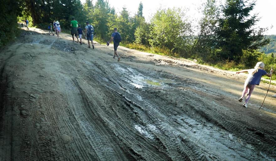 Yellow trail to Turbacz - Bukowina Miejska