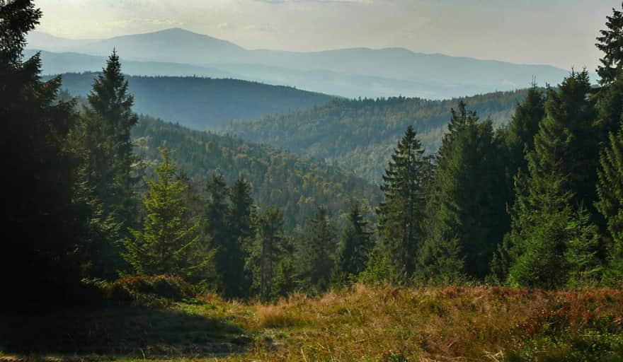 Yellow trail to Turbacz - view of Babia Góra from the chapel of Our Lady of the Forest Queen of the Gorc Mountains