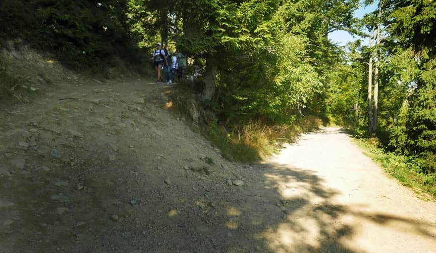 Road junction in front of the shelter on the yellow and green trail to Turbacz