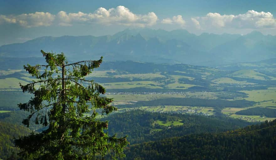 Panorama Tatr spod Turbacza