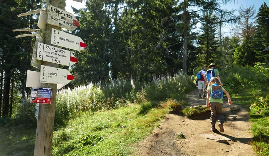 Turbacz - from the mountain hut to the highest peak of the Gorc Mountains