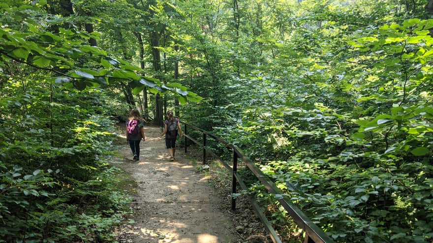Ojców, green educational trail - ridge path