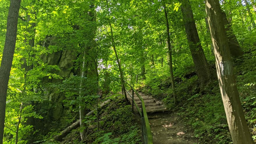 Ojców, green educational trail - descending path to the Prądnik Valley