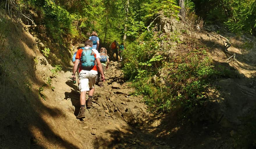 Green Trail to Turbacz - steep beginning