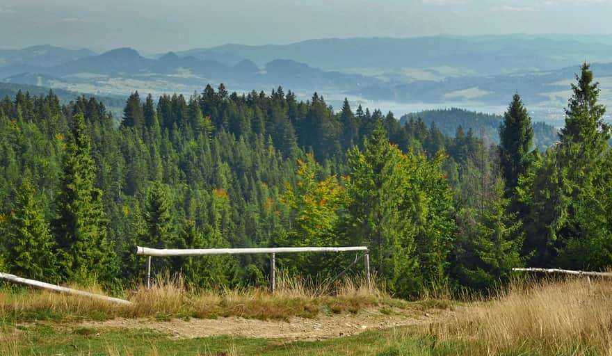 Green trail to Turbacz - view of Pieniny Mountains and Czorsztyn Lake