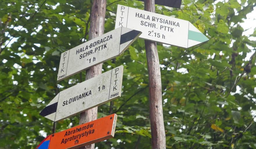 Green and black trail from Żabnica