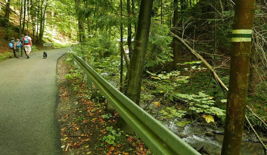 Start of the green trail from Żabnica to Rysianka