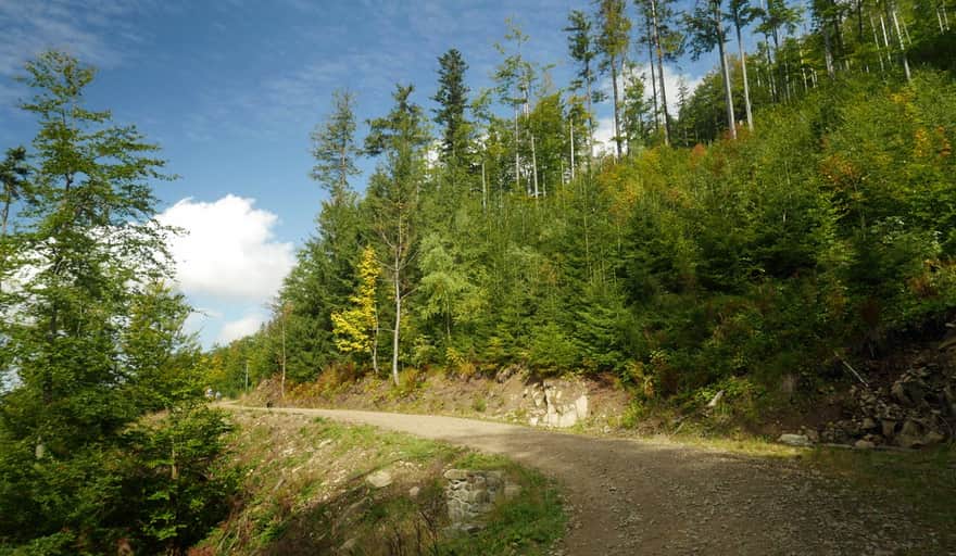 Green trail to Rysianka from Żabnica - "highway"