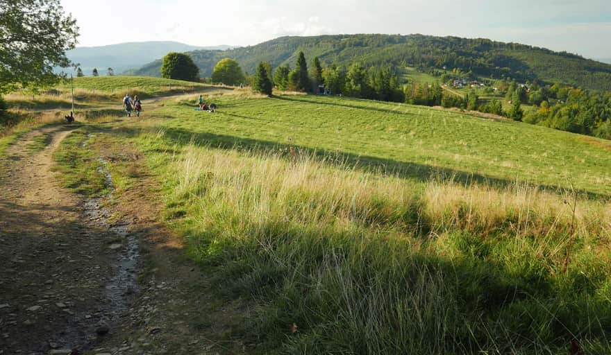 Hala Boracza - widok z Hali Cukiernica:. Tu rozchodzą się zielony i czarny szlak