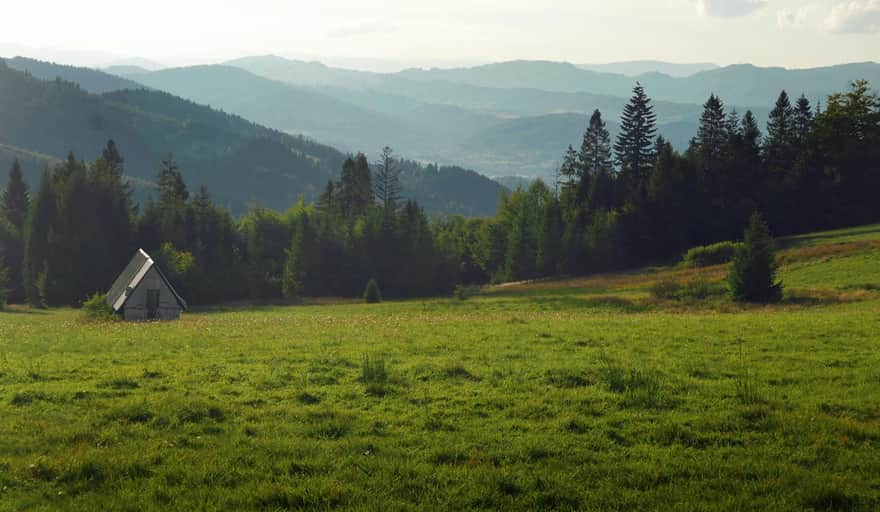 Hala Boracza latem - widok na Beskid Śląski