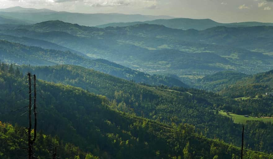 Green trail - view of the Silesian Beskids