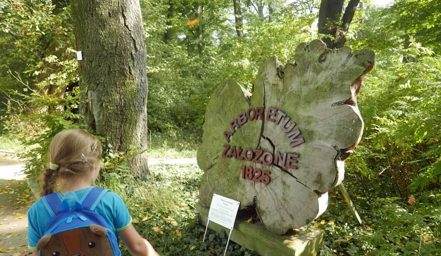 Ogród Botaniczny UJ - arboretum