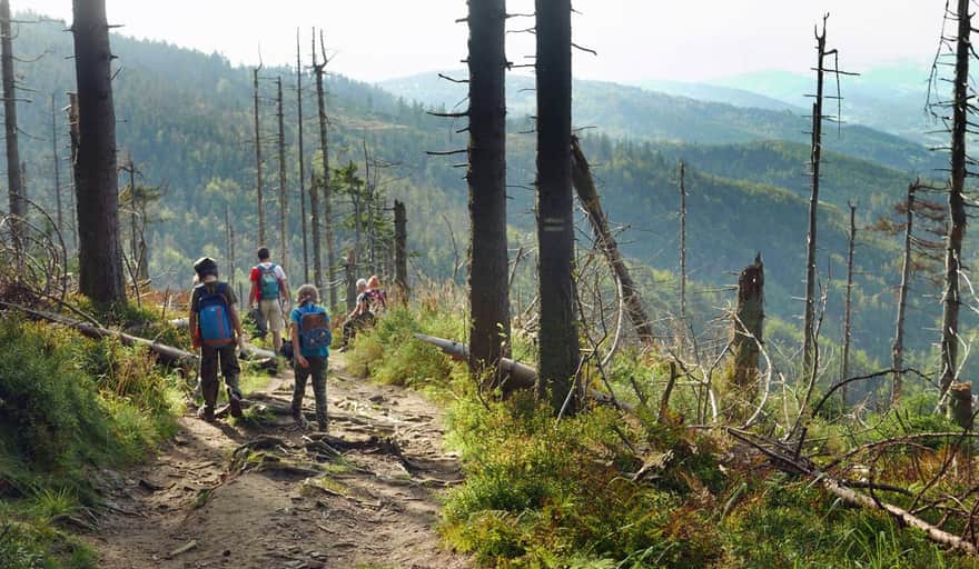 The most beautiful trails in the Beskids