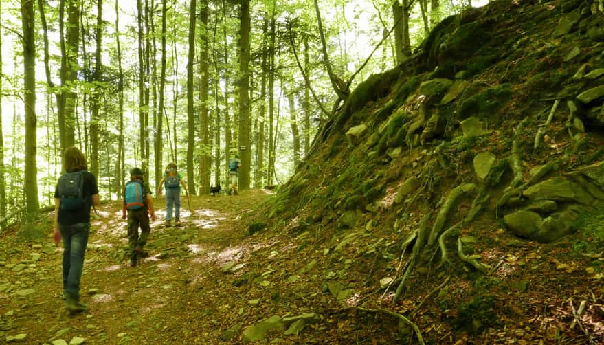 Hala Łabowska - blue trail