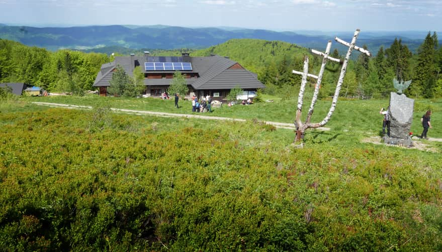 Meadows at Hala Łabowska