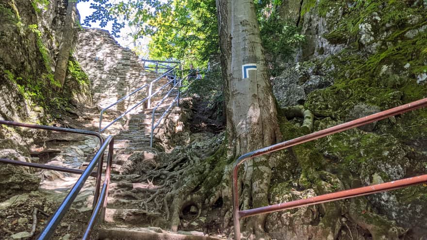 Strome śliskie kamienne schody przy Zamku Pieniny