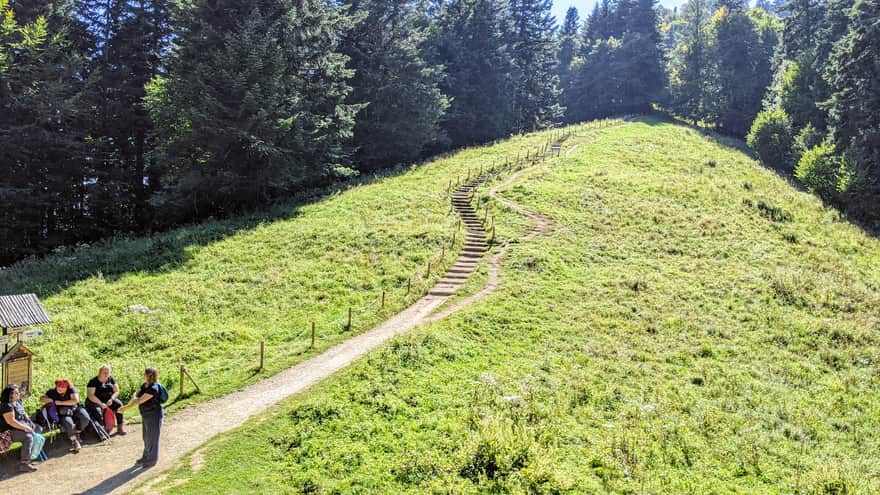 Trail from Pieniny Castle to Trzy Korony - Polana Kosarzyska