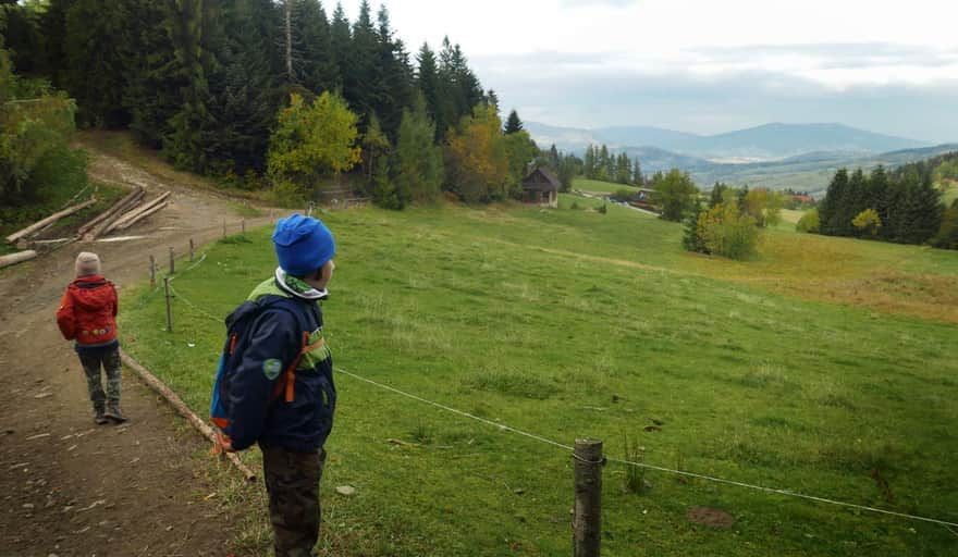 Jasionów - green trail to Maciejowa.