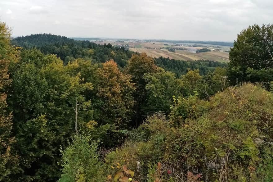 Pilcza Castle - view from the hill