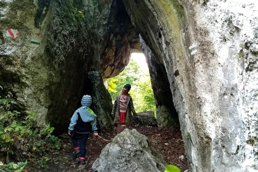 Pilcza Castle - cave under the Hillfort