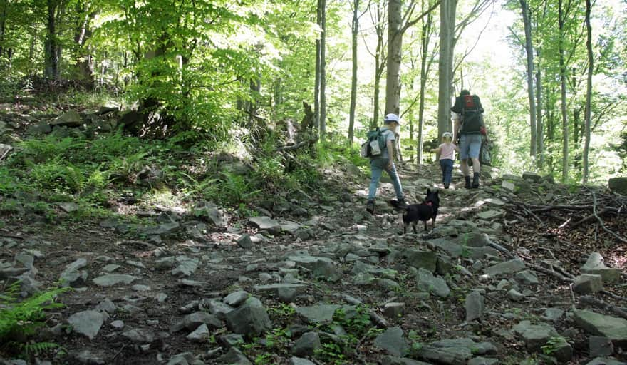 Green Trail from Poręba to Kamiennik