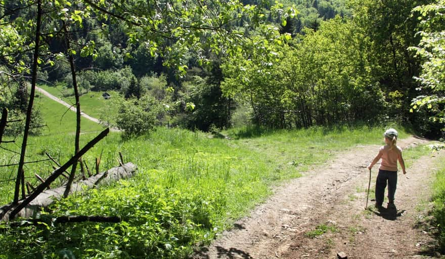 Zielony szlak z Poręby na Kamiennik - zejście na Suchą Polanę