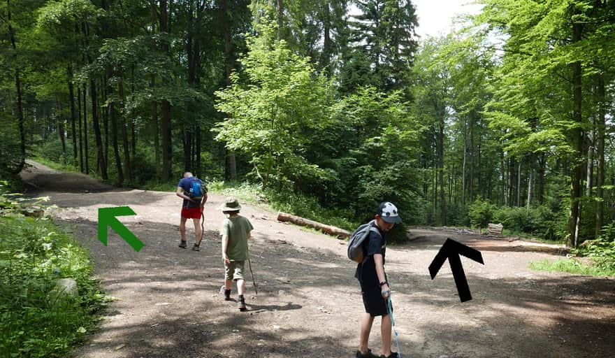 Roads from Sucha Polana: green trail to Kudłacze on the left, black arrow is the forest road to Poręba