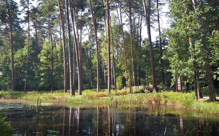 Arboretum Obrówka, Lasy Janowskie; fot. Marzi