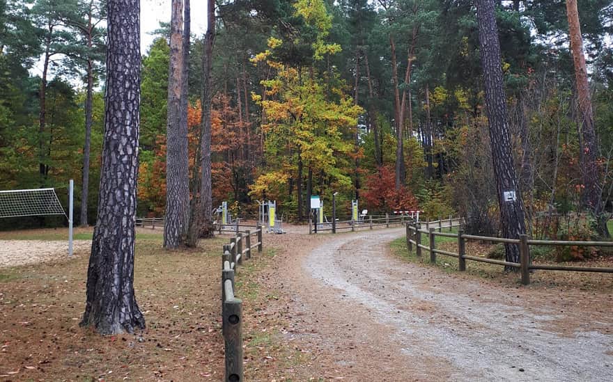 Arboretum Obrówka, Lasy Janowskie; fot. Marzi