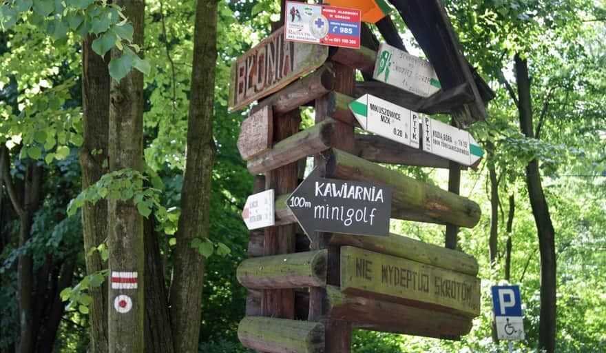 Początek czerwonego szlaku: przez Kozią Górę do Bystrej