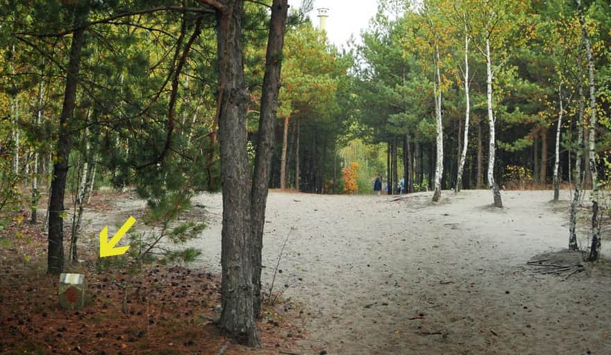 Błędów Desert. Yellow trail: Czubatka, Klucze - Błędów