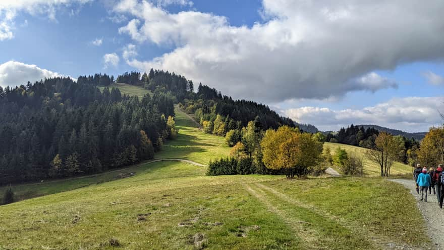 Wielka Racza from Zwardoń