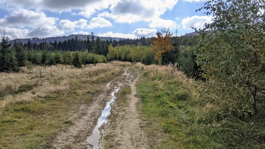 Wielka Racza from Zwardoń - muddy trail