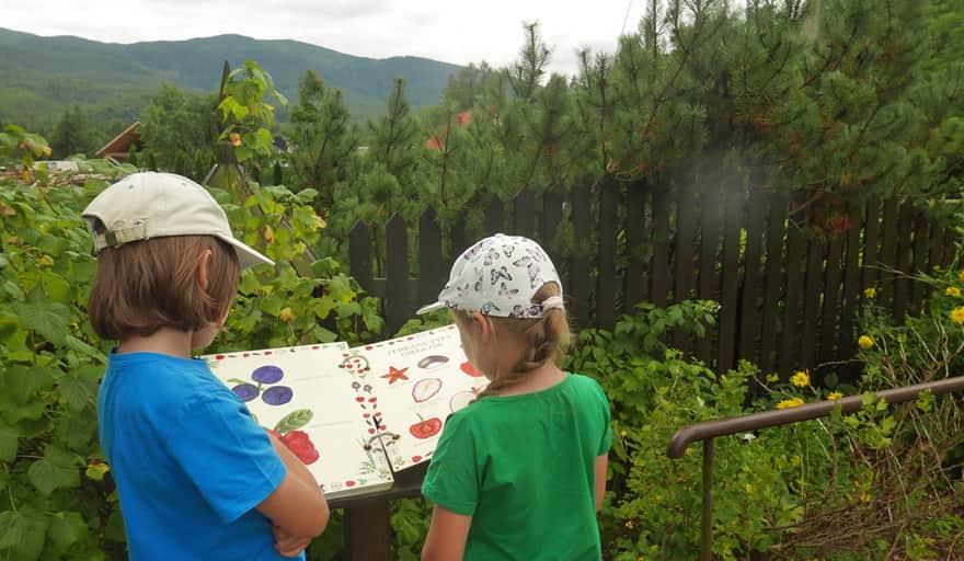 Babiogóra National Park Management - educational garden